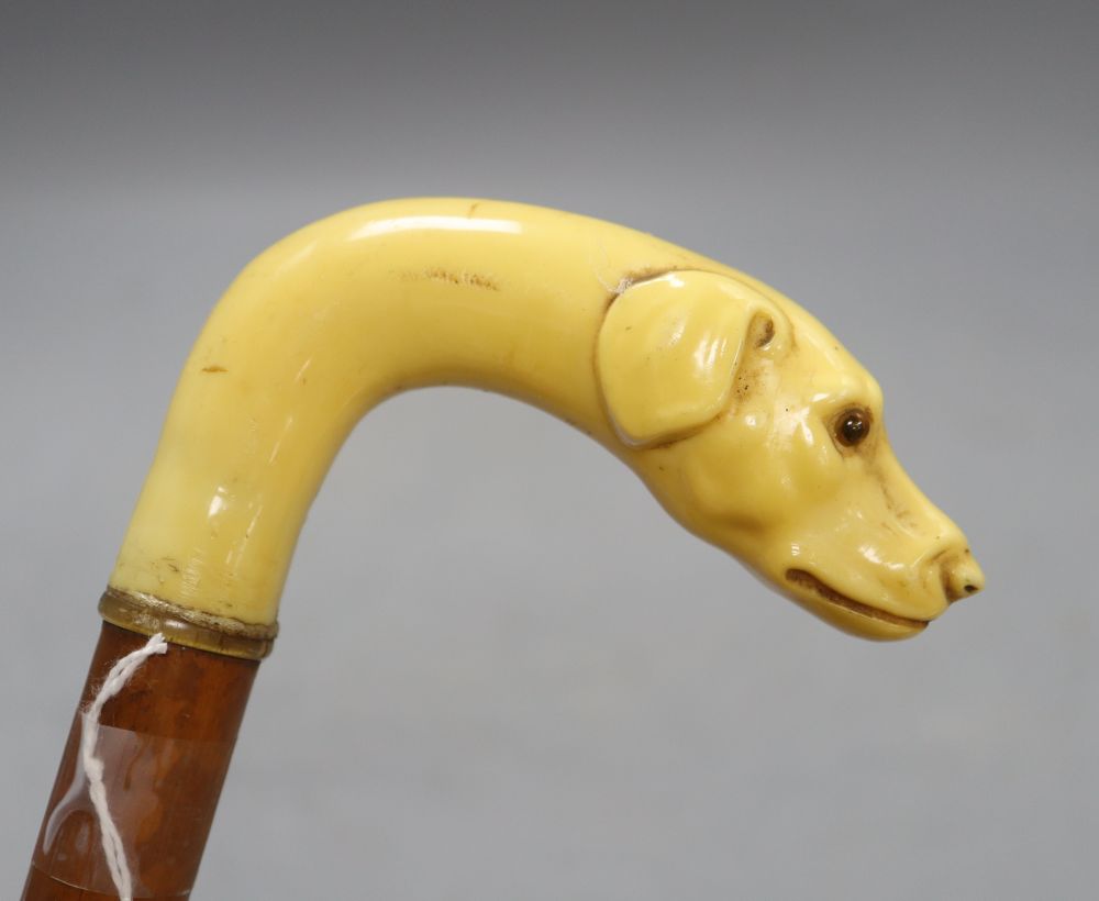 A carved ivory dogs head walking stick, c.1860, length 33cm